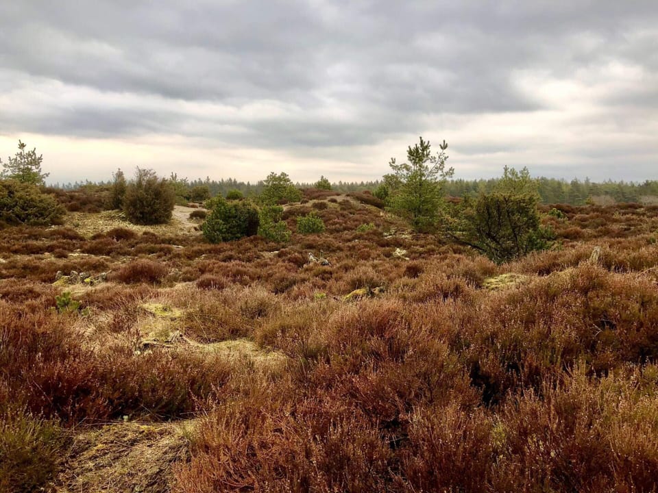 House | Miscellaneous