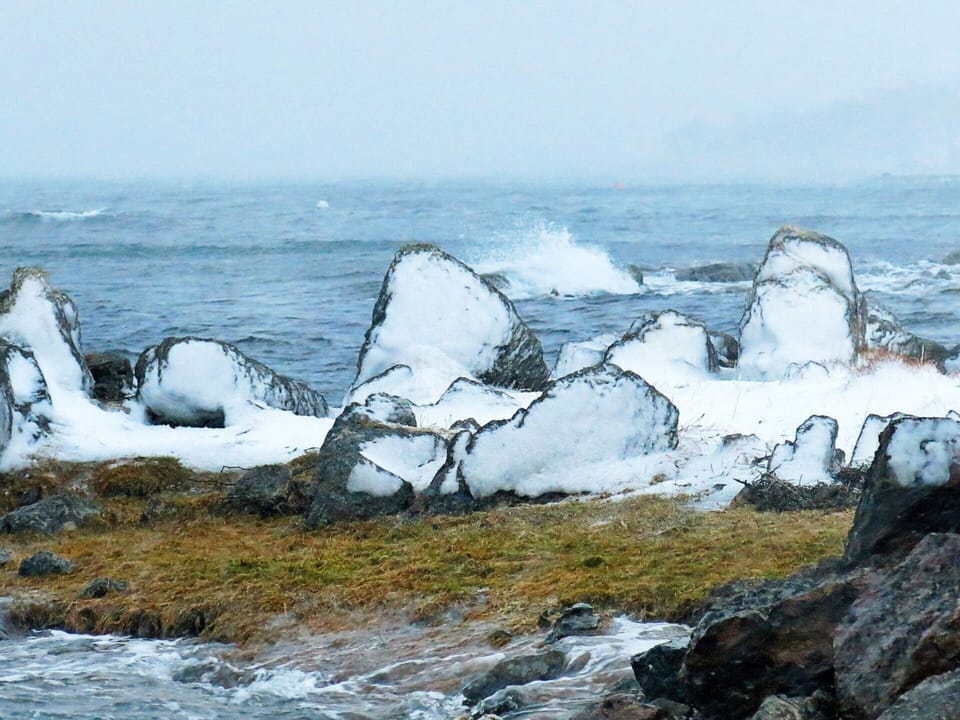 House | Miscellaneous