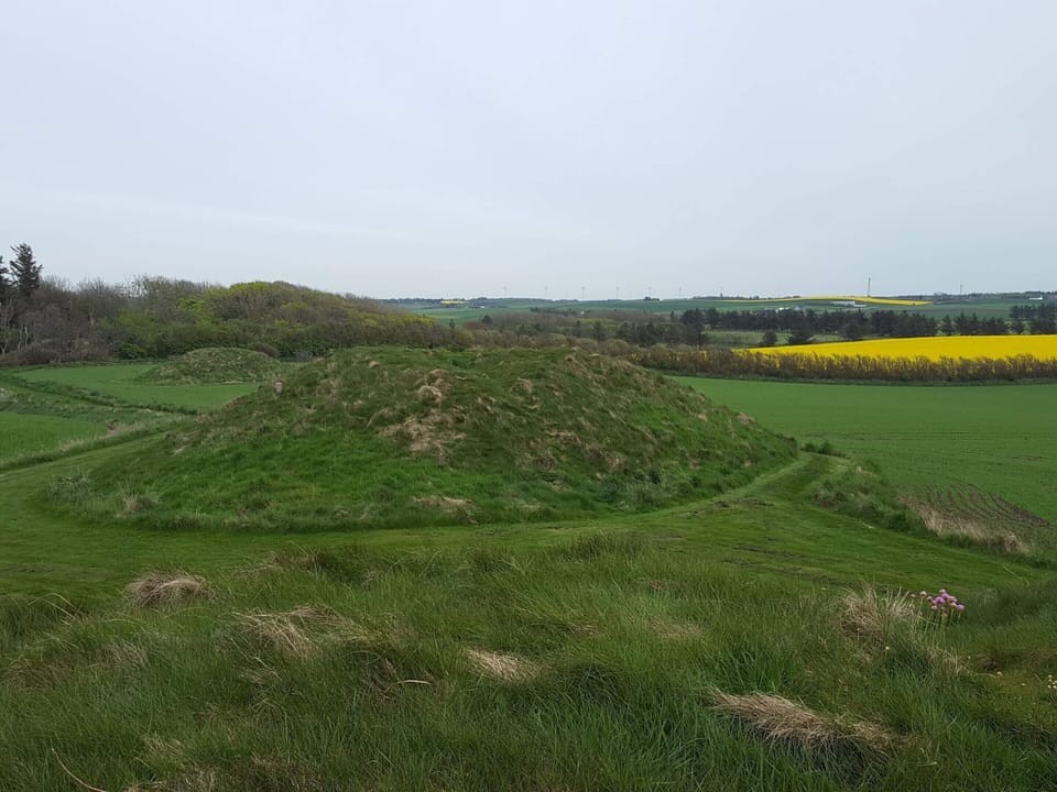 House | Miscellaneous