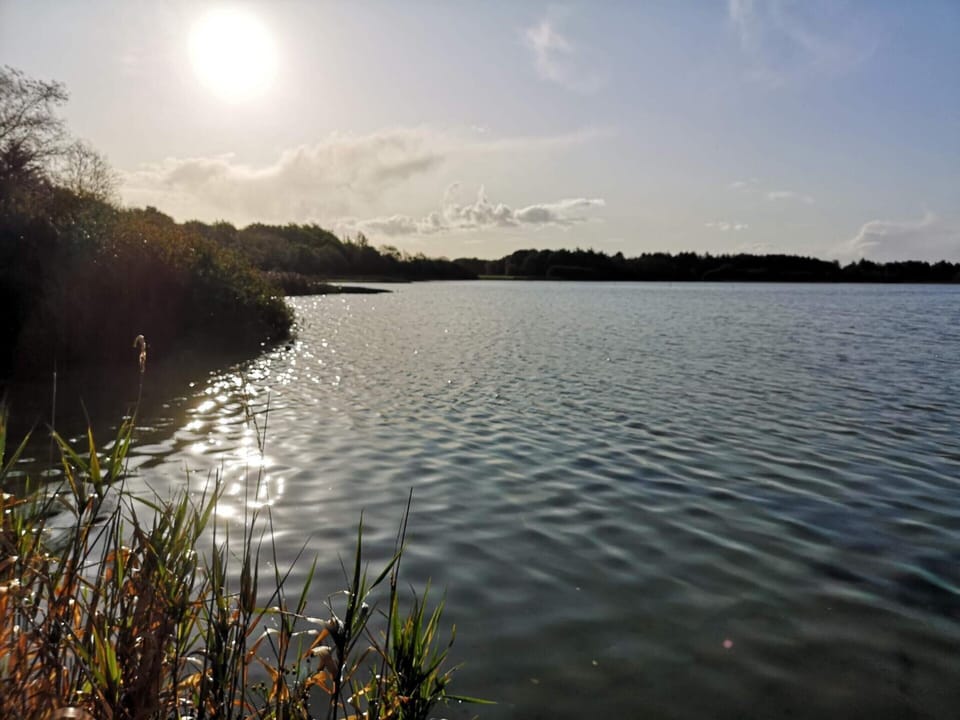 House | Water view