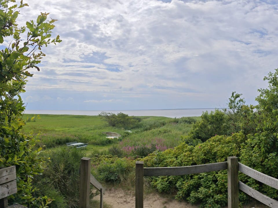 House | Miscellaneous