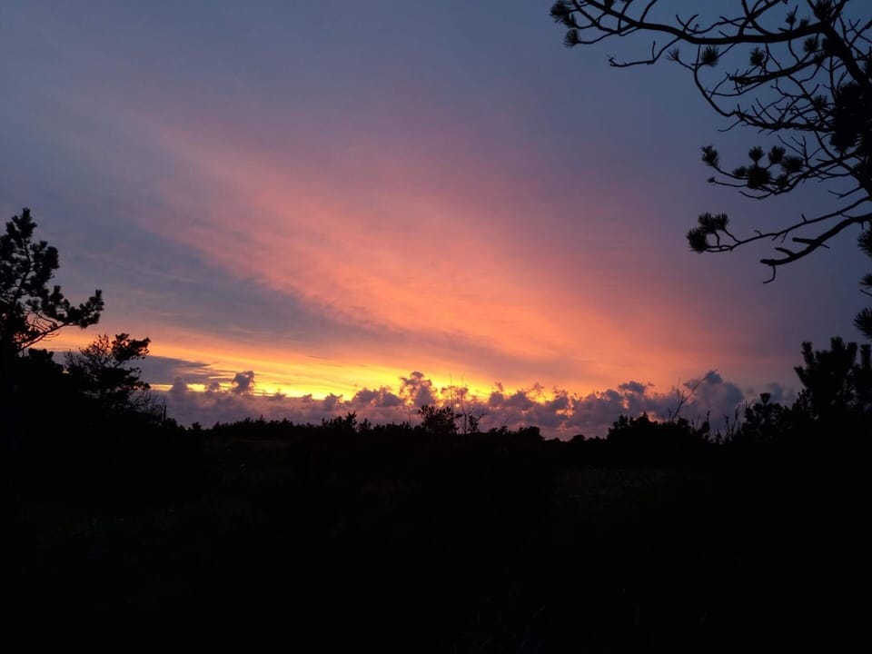 House | Miscellaneous