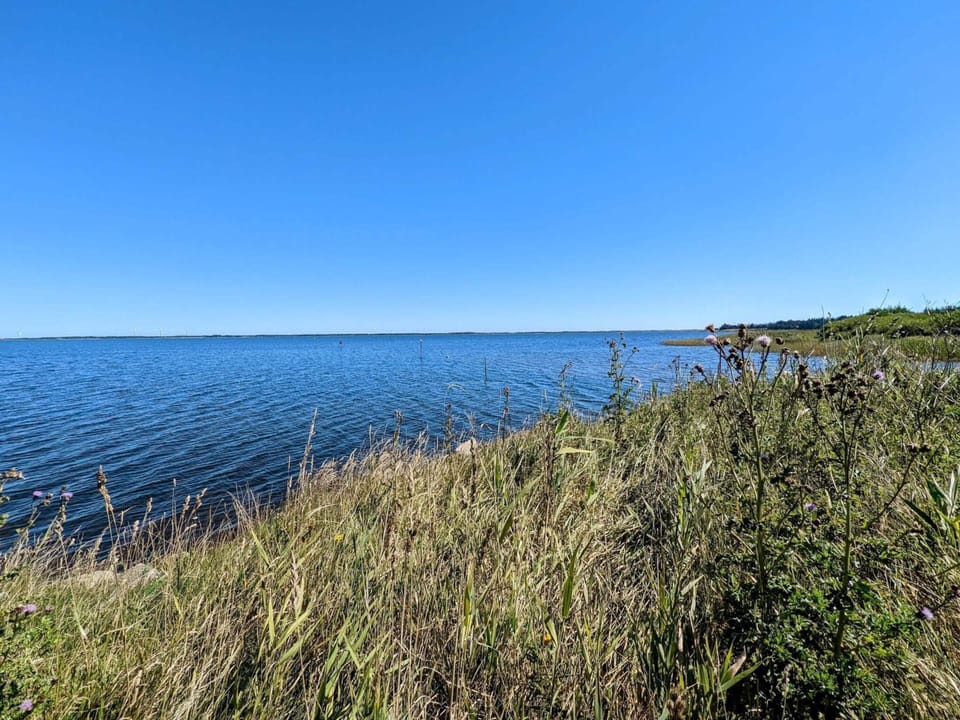 House | Water view