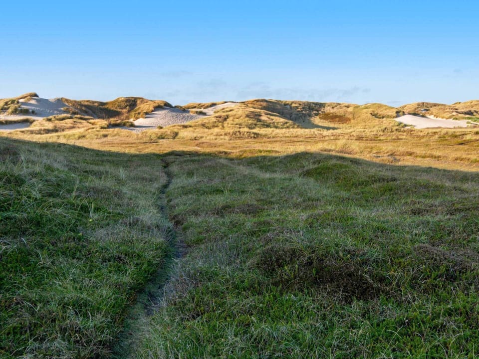 House | View from property