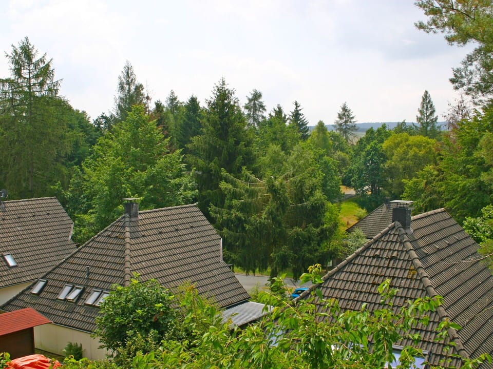 Roof, Vegetation, Tree, Hill Station, House, Rural Area, Cottage, Architecture, Landscape, Plant