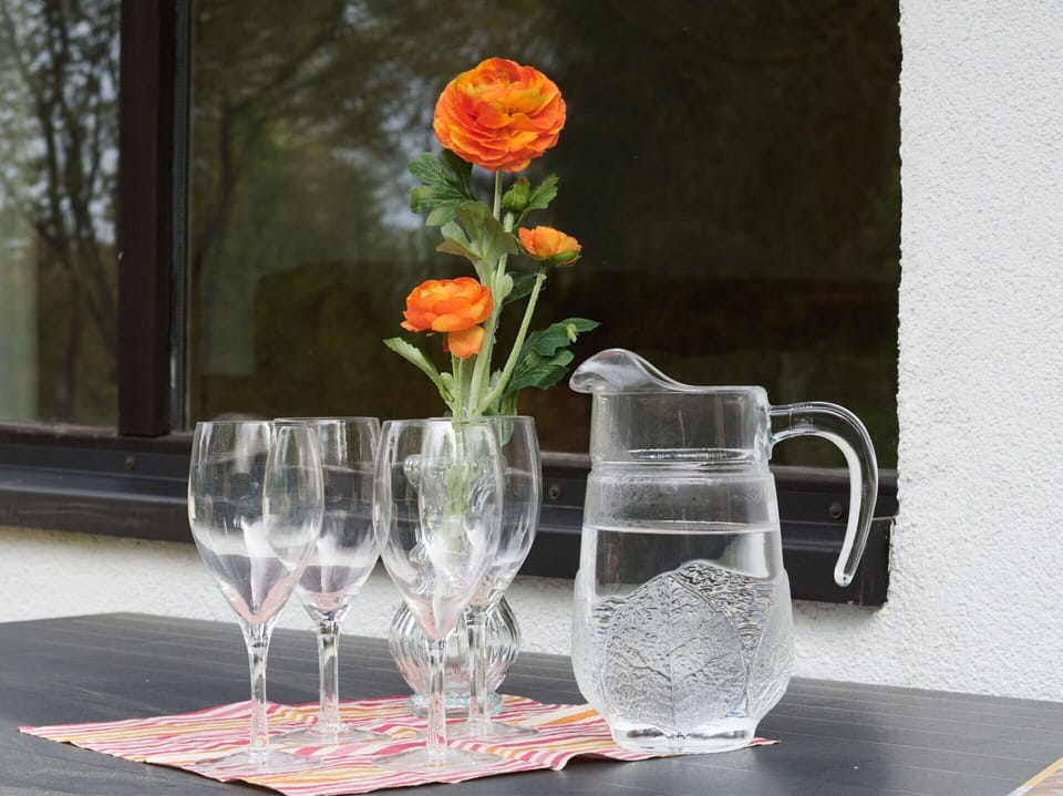 Flower, Tableware, Drinkware, Stemware, Table, Window, Textile, Petal, Vase, Dishware