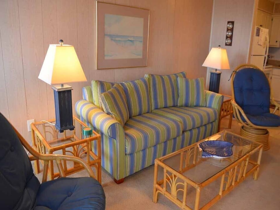 Sleeper Sofa (Unit accommodates 6)