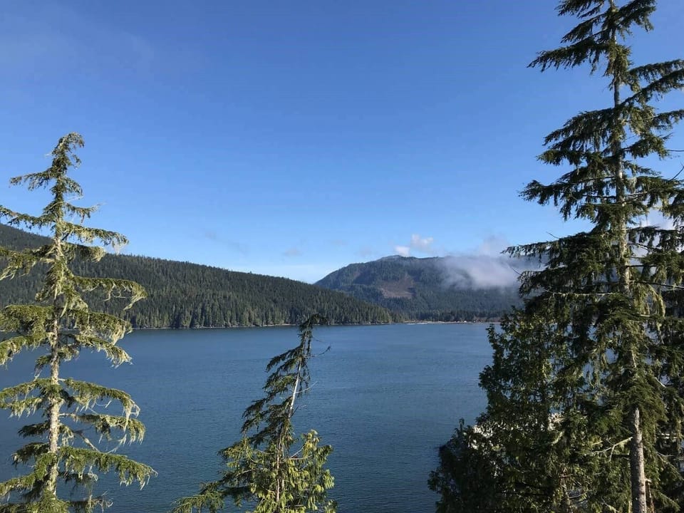 view from the balcony on a beautiful sunny day in Port Renfrew