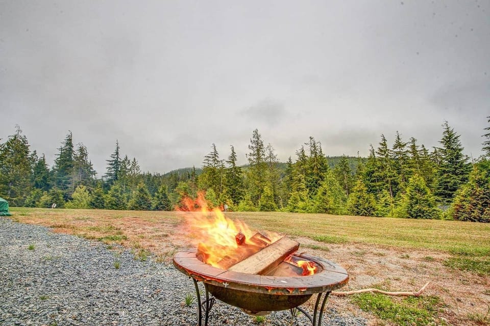 fire pit in the back yard