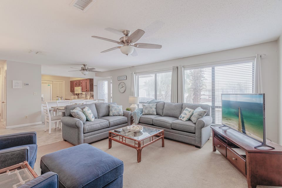 Living Room with new queen sized sofa sleeper