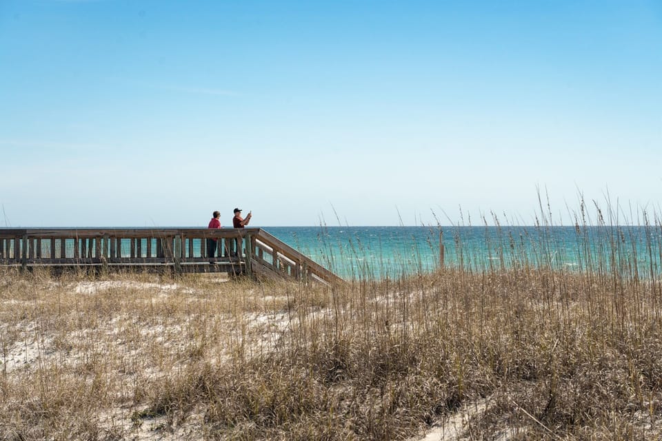 Dune walkover to protect our dunes
