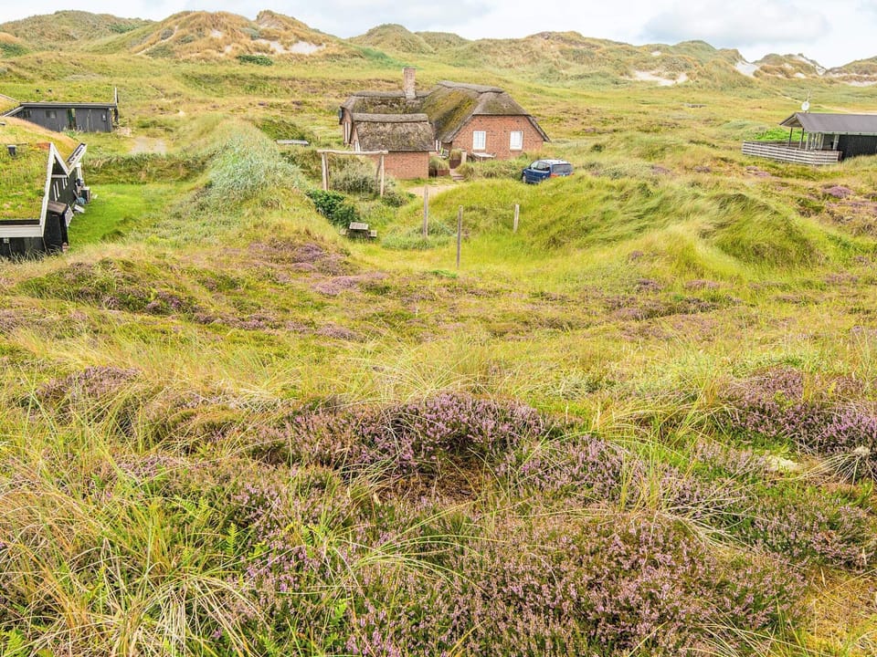 House | View from property