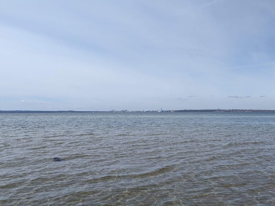 House | Water view