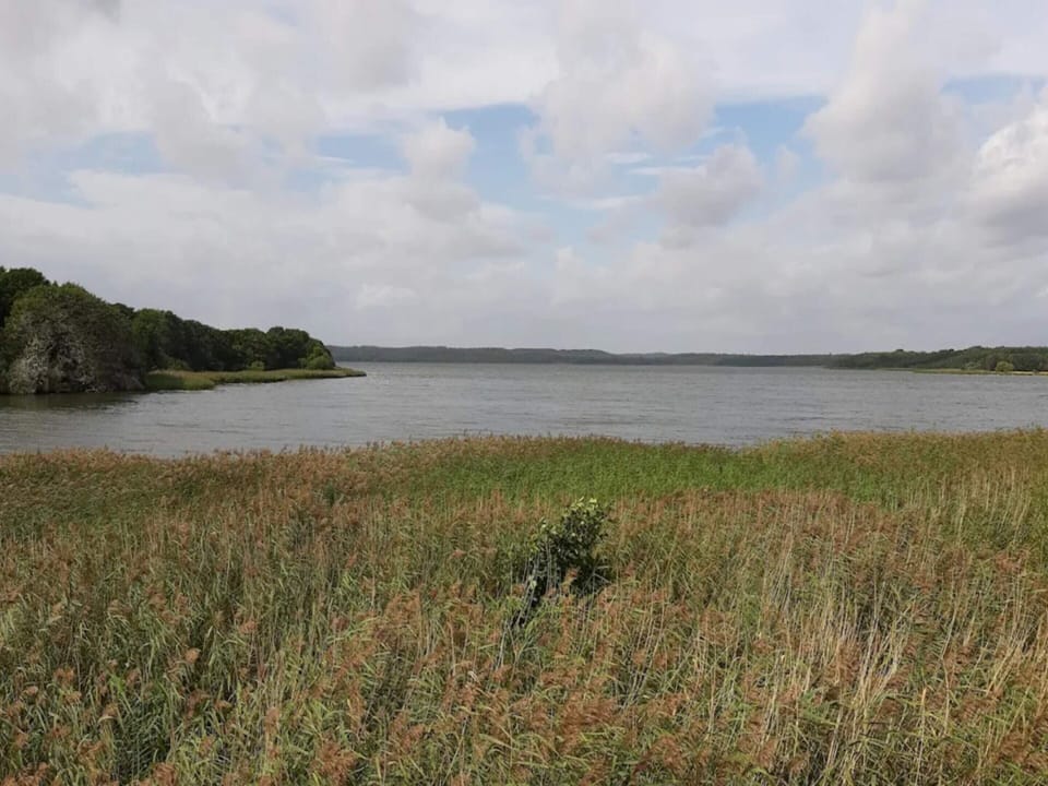 House | Water view