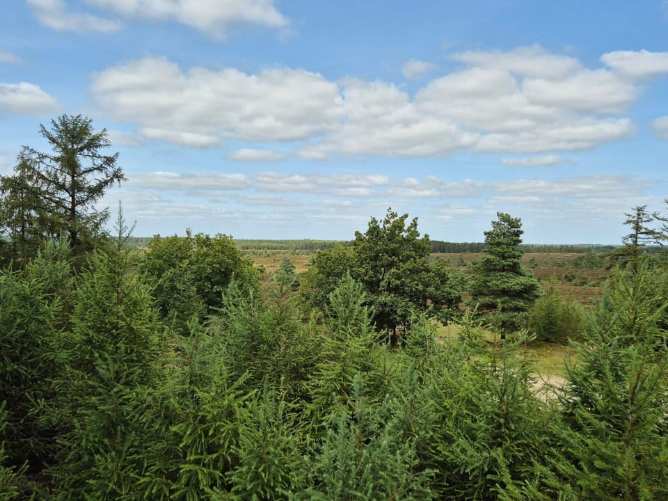 House | Miscellaneous