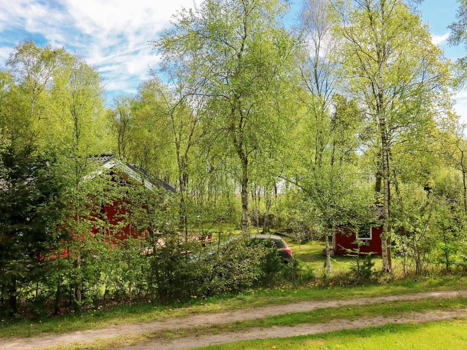House | View from property