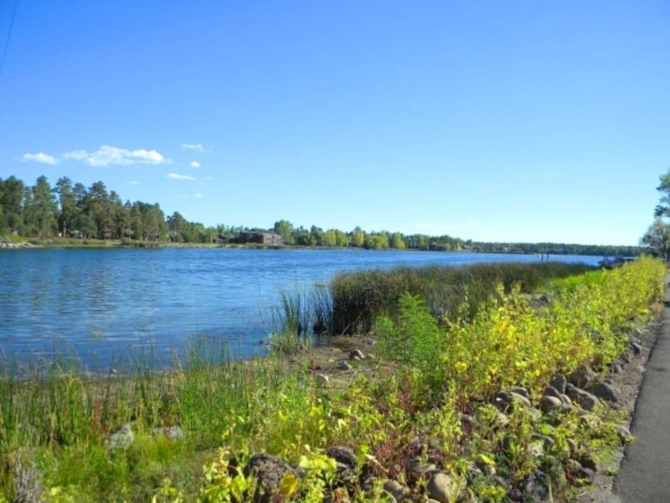 WOODLAND LAKE 5 MIN FROM CABIN