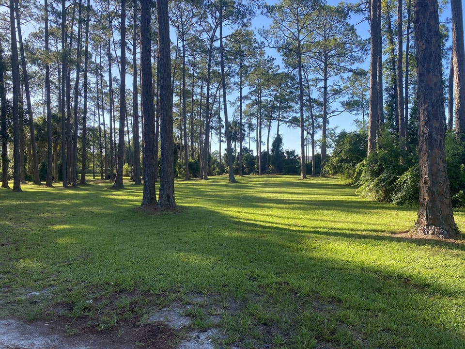Tent camping space (need to book thru campground) nice area to walk with dog
