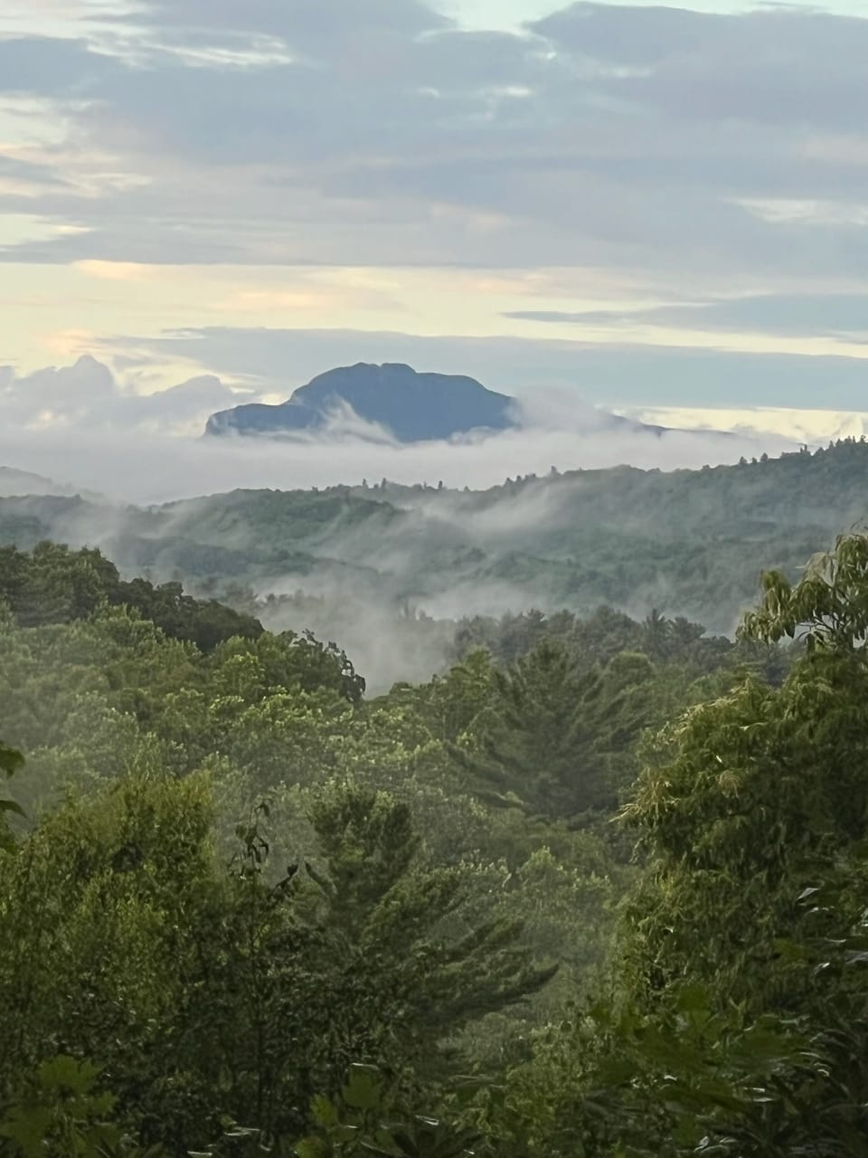 View of Grandfather Mountain. Every day, the colors change. 