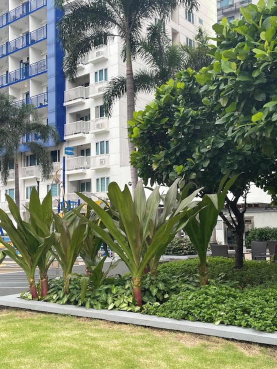 Condo, 1 Bedroom, City View | Garden
