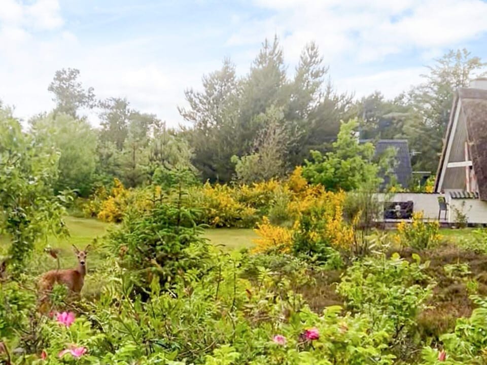 House | View from property