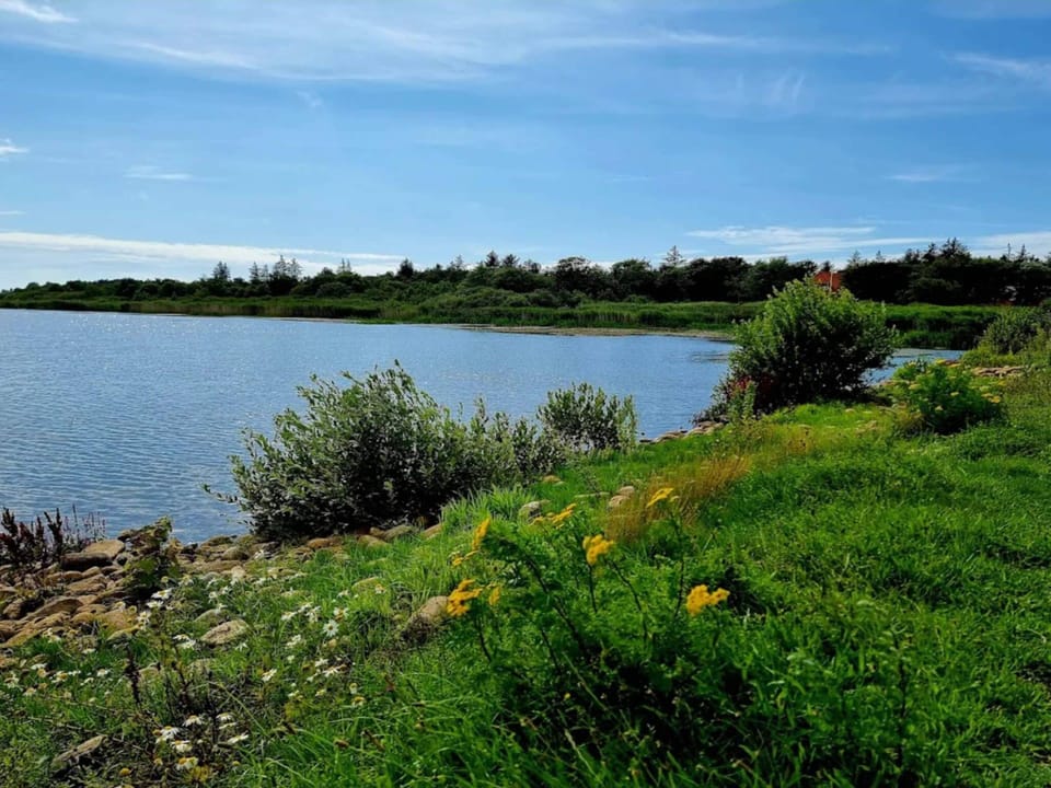 House | Water view