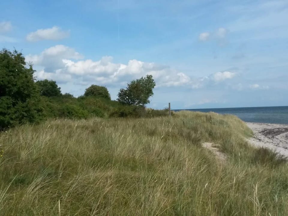 5 Star Holiday Home in Idestrup House in Væggerløse