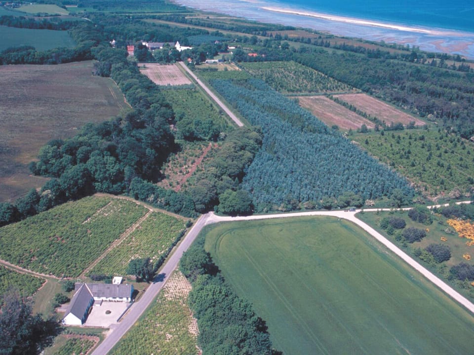 14 Person Holiday Home in Orsted House in Central Denmark Region
