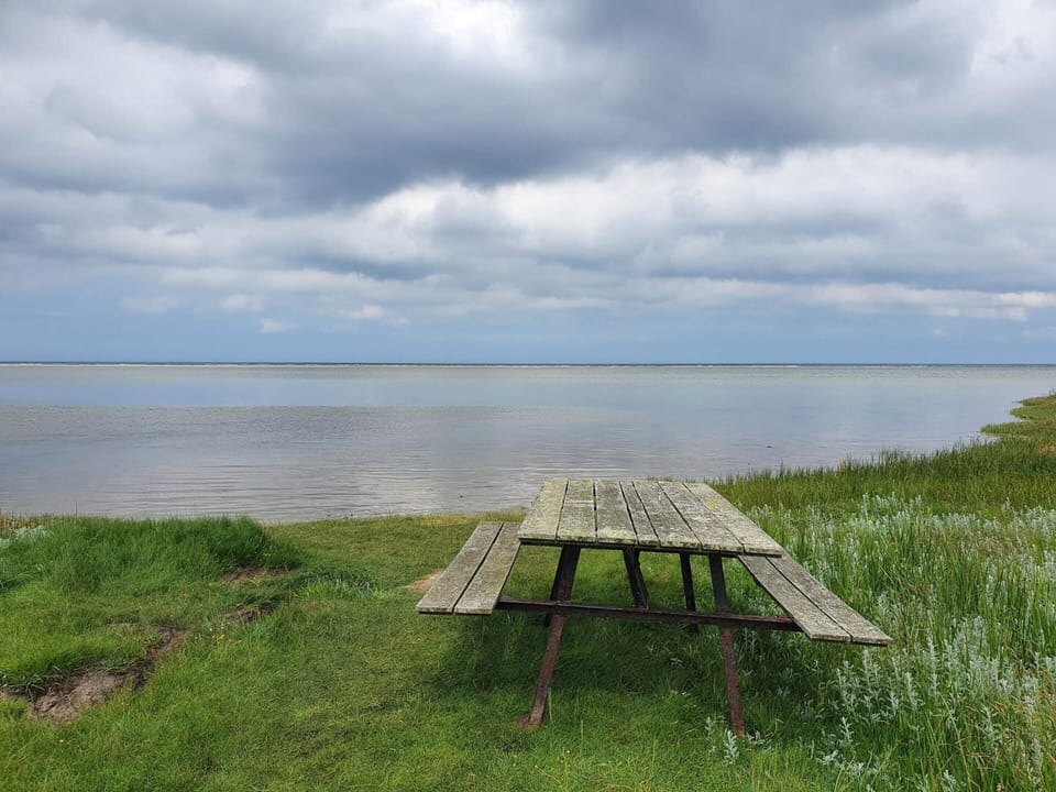 House | Water view