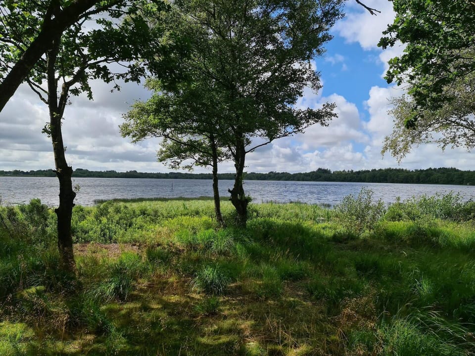 House | Water view