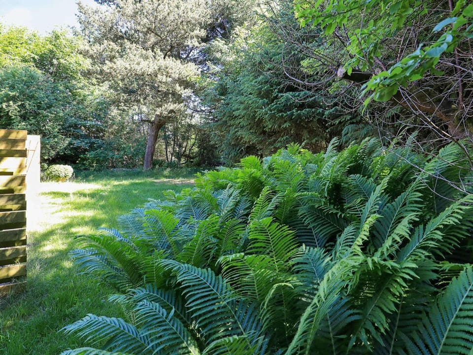 House | View from property