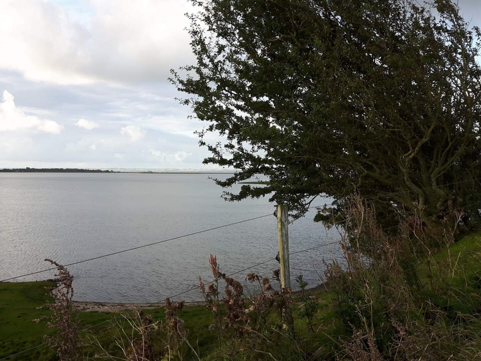 House | Water view