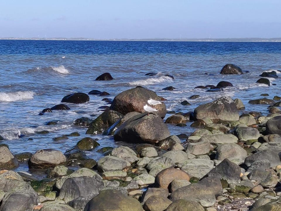 5 Star Holiday Home in Hornbaek House in Capital Region of Denmark