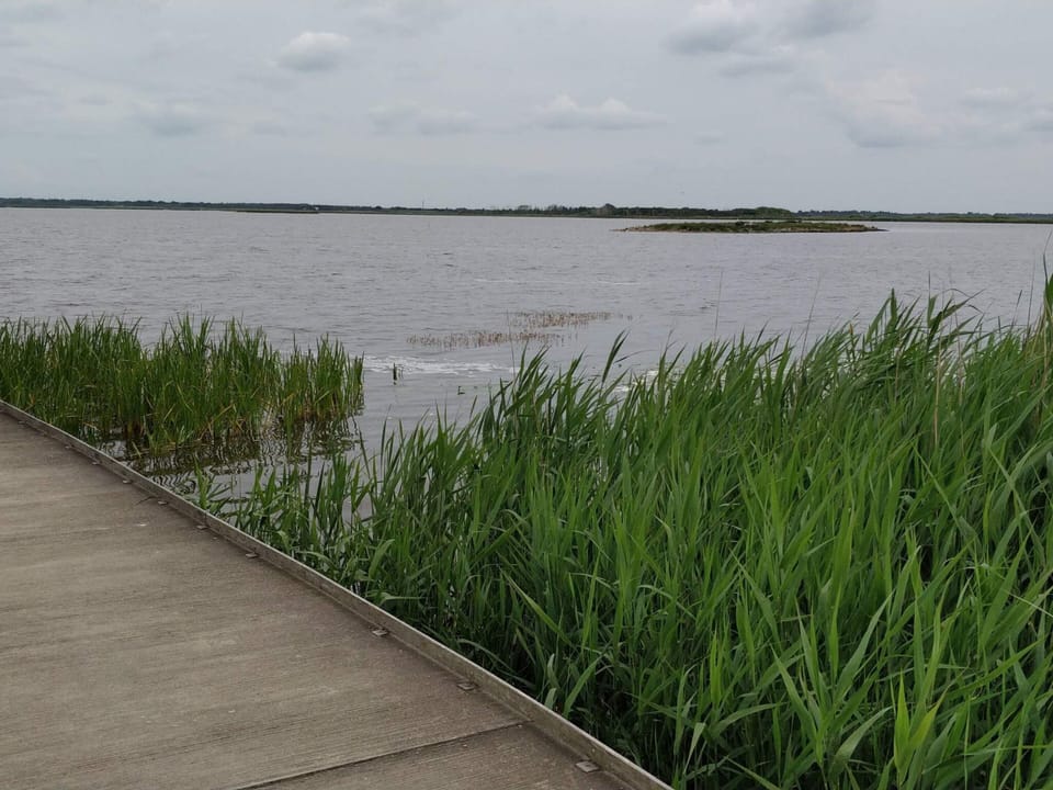 House | Water view