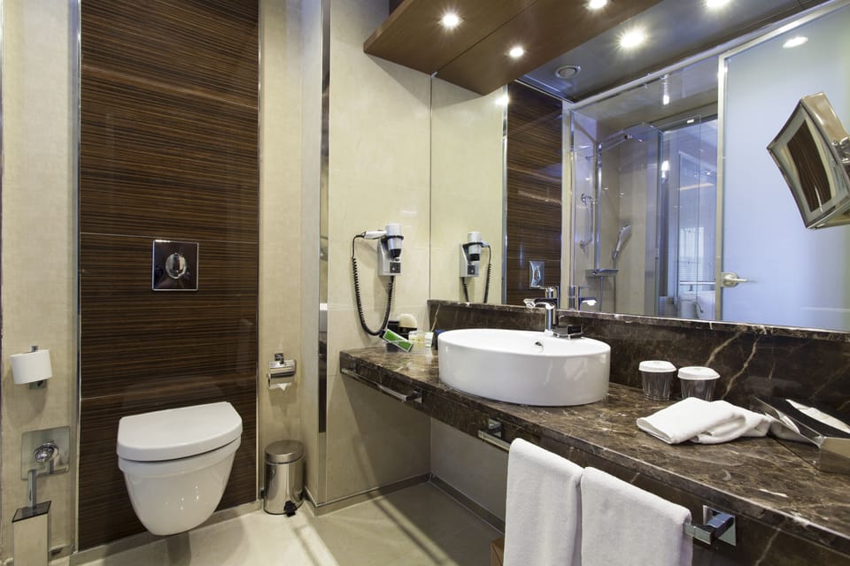 Premium Room | Bathroom | Shower, rainfall showerhead, eco-friendly toiletries, hair dryer