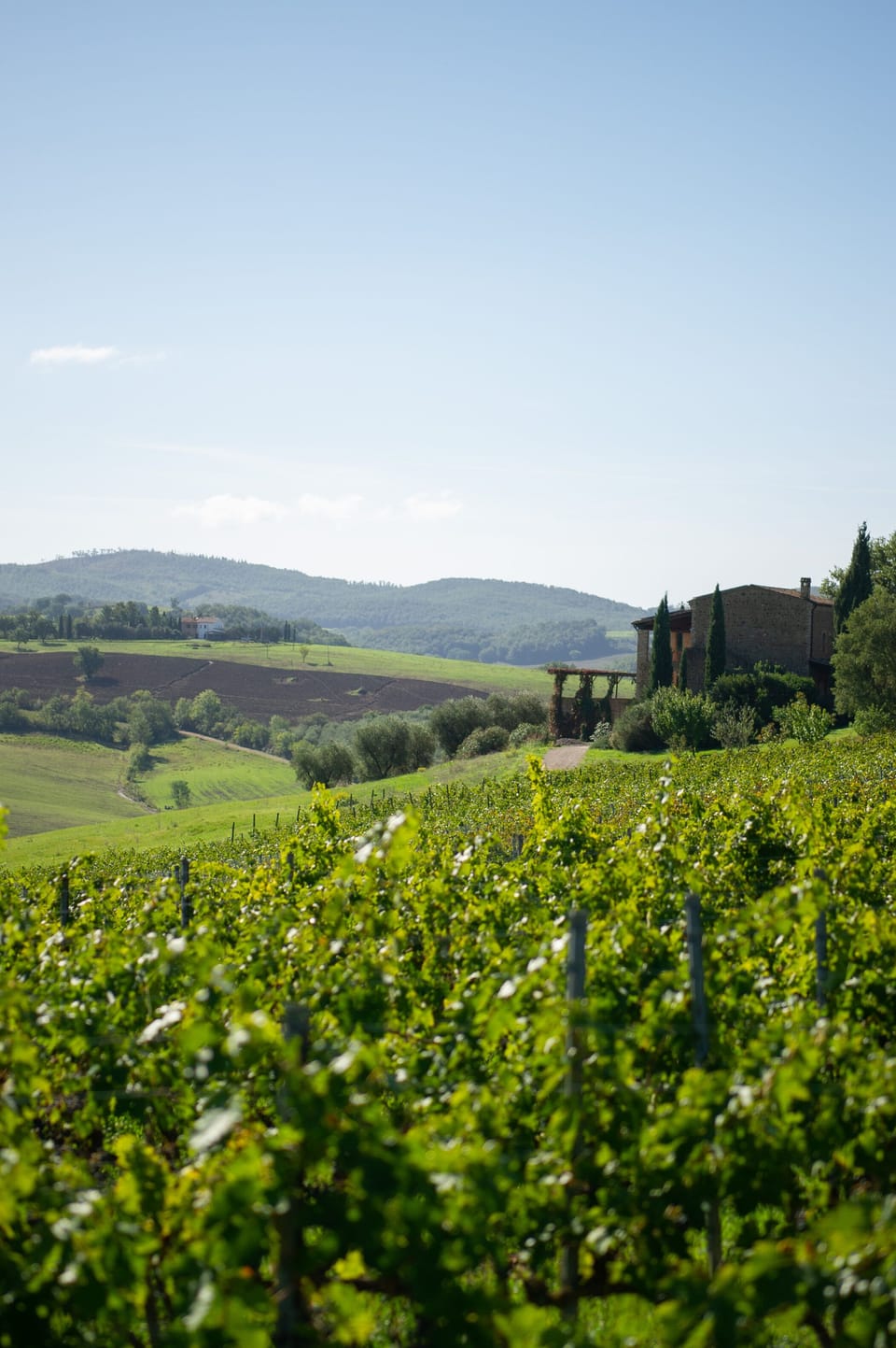 Winery