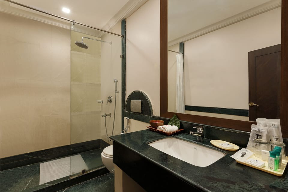 Maharaja Suite | Bathroom | Shower, free toiletries, hair dryer, towels