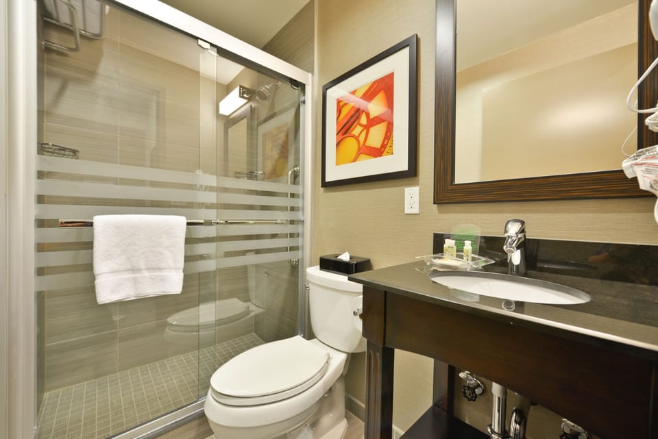 Combined shower/tub, free toiletries, hair dryer, towels