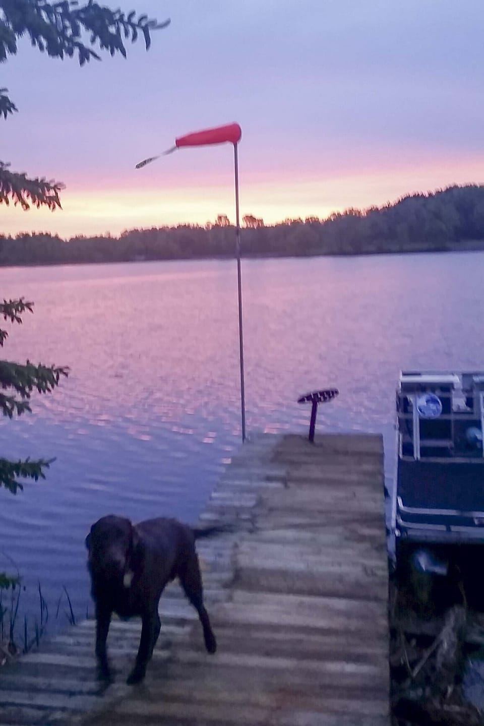 Dock