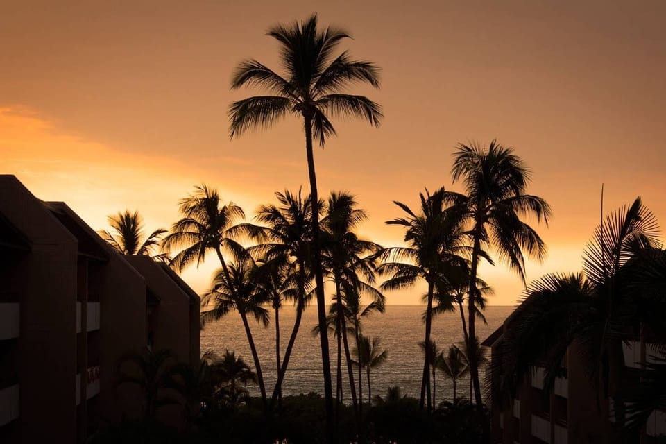Sunset Views from lanai - Sunset Glows through the Swaying Palms