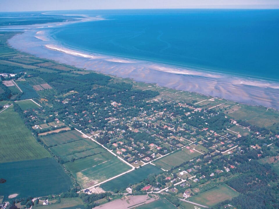 House | Aerial view