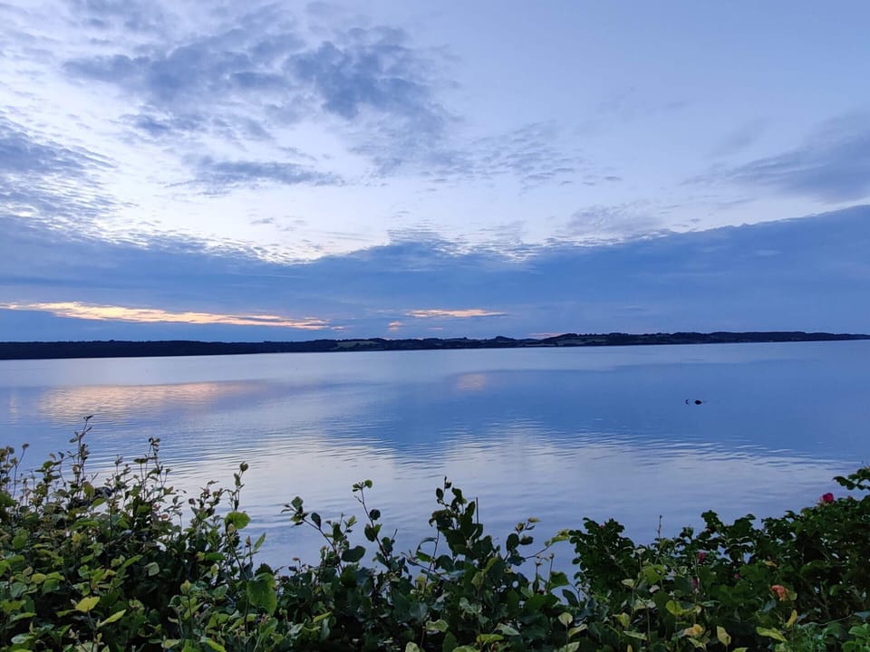 House | Water view