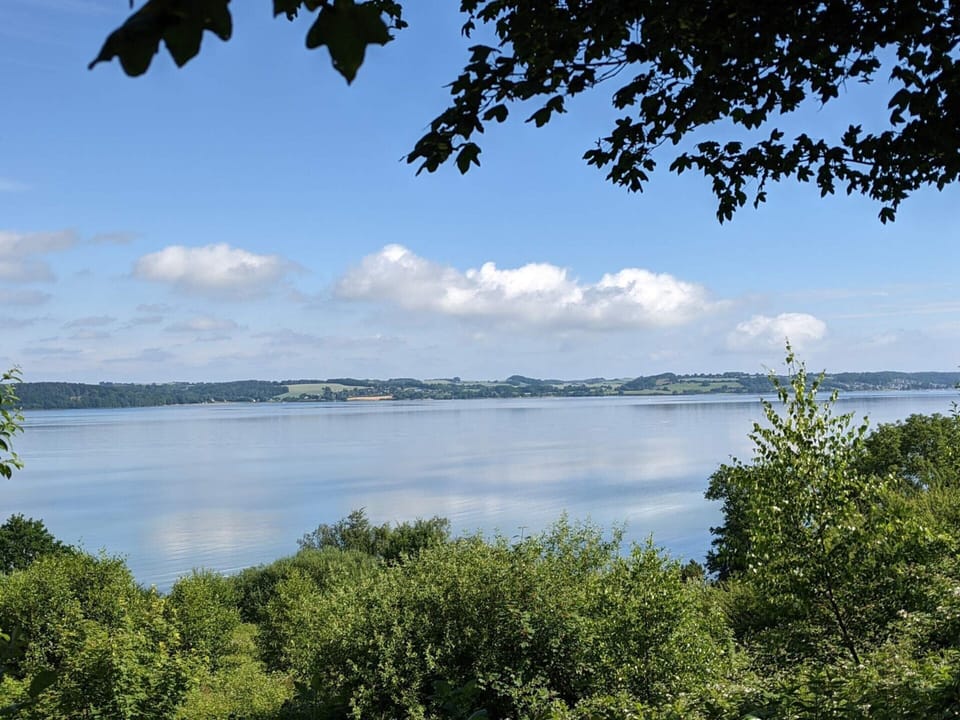 House | Water view