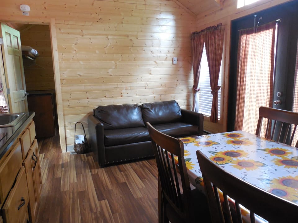 Deluxe Cabin | Living area | 32-inch LCD TV with satellite channels, TV