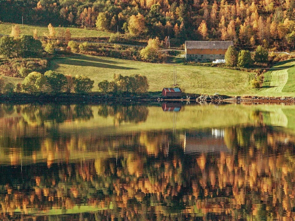 House | Lake view