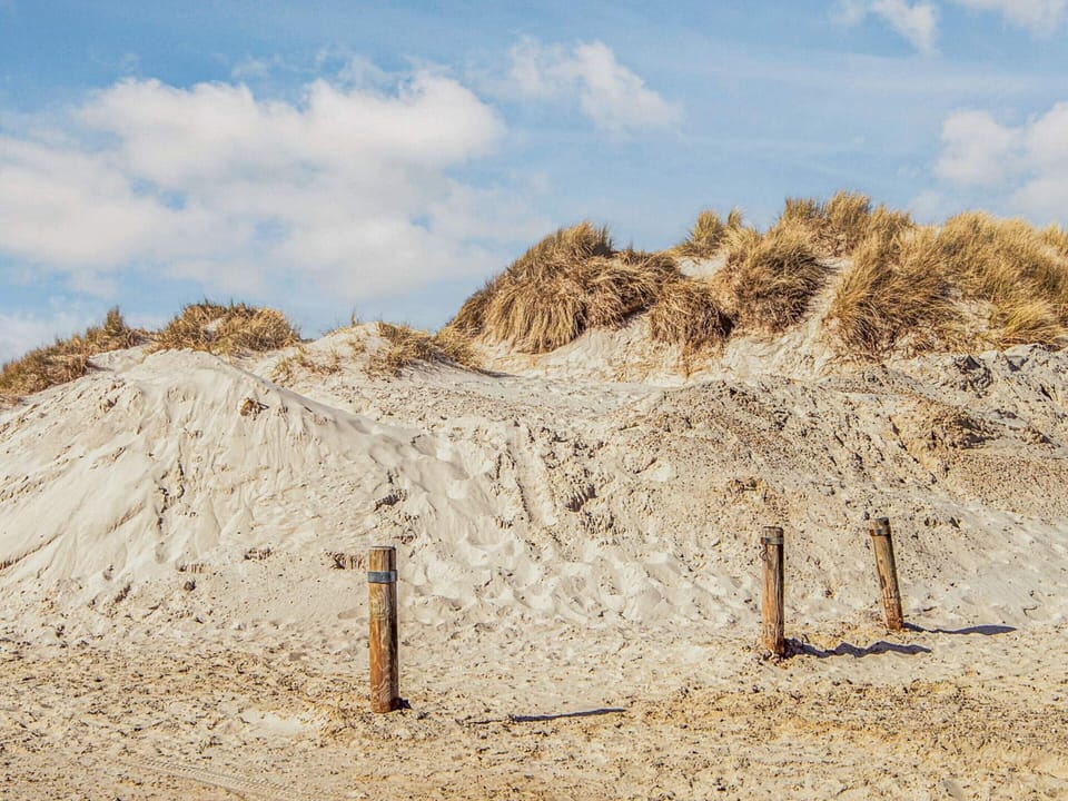 House | View from property