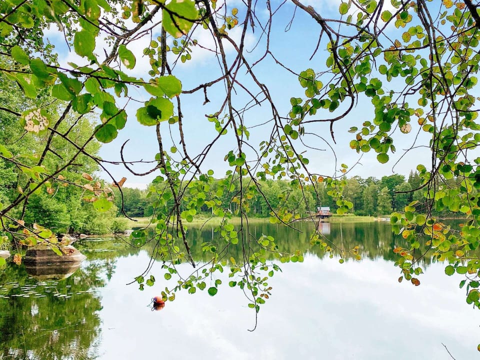 House | Miscellaneous