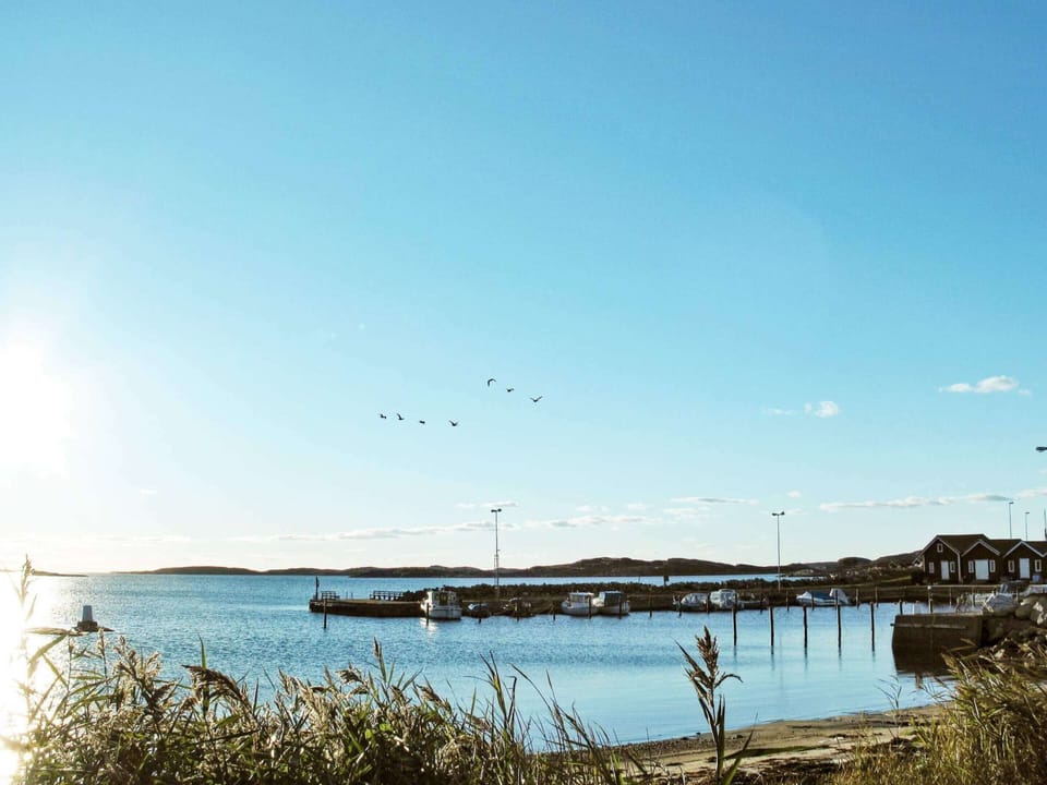 House | Water view
