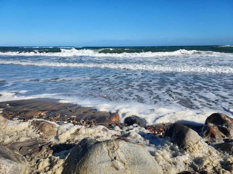 Pet Friendly Holiday Home in Dronningmølle near Sea House in Capital Region of Denmark