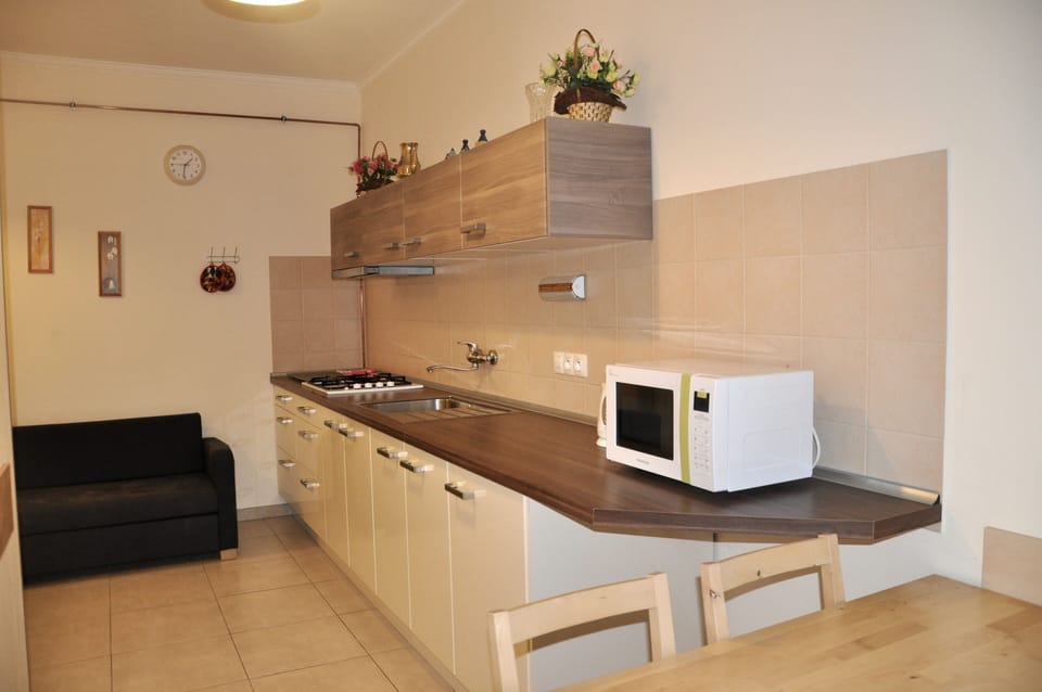 Apartment | Private kitchen | Full-size fridge, microwave, oven, stovetop